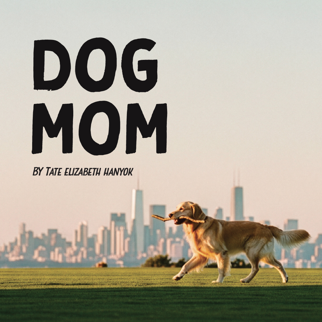 A golden retriever runs across a green field with a medium sized stick in their mouth. You can see the New York City skyline in the background. their