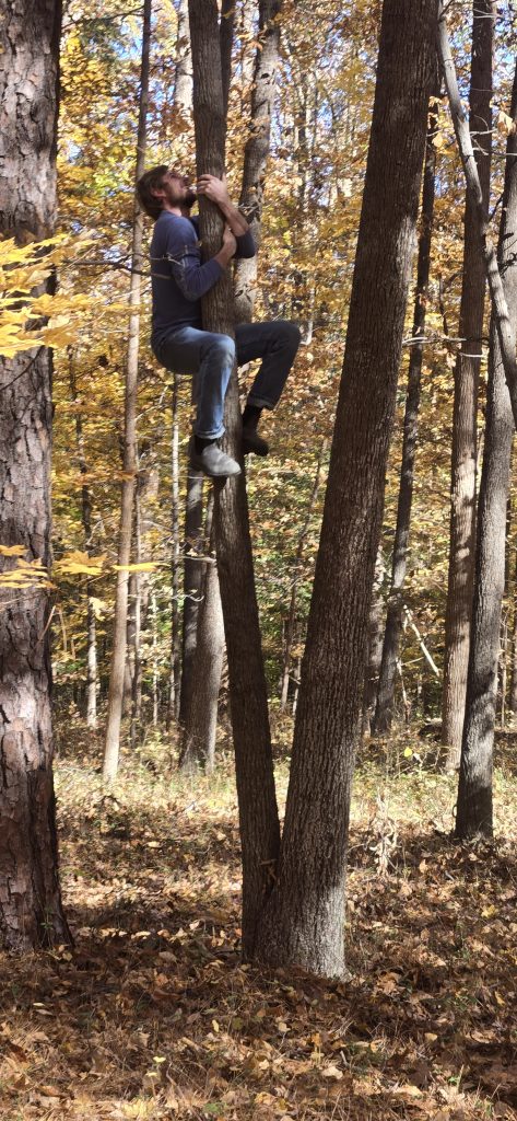 Tree hugging contestant climbs to the top of the competition.