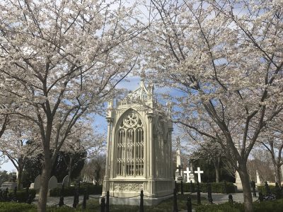 Highlights of Hollywood Cemetery